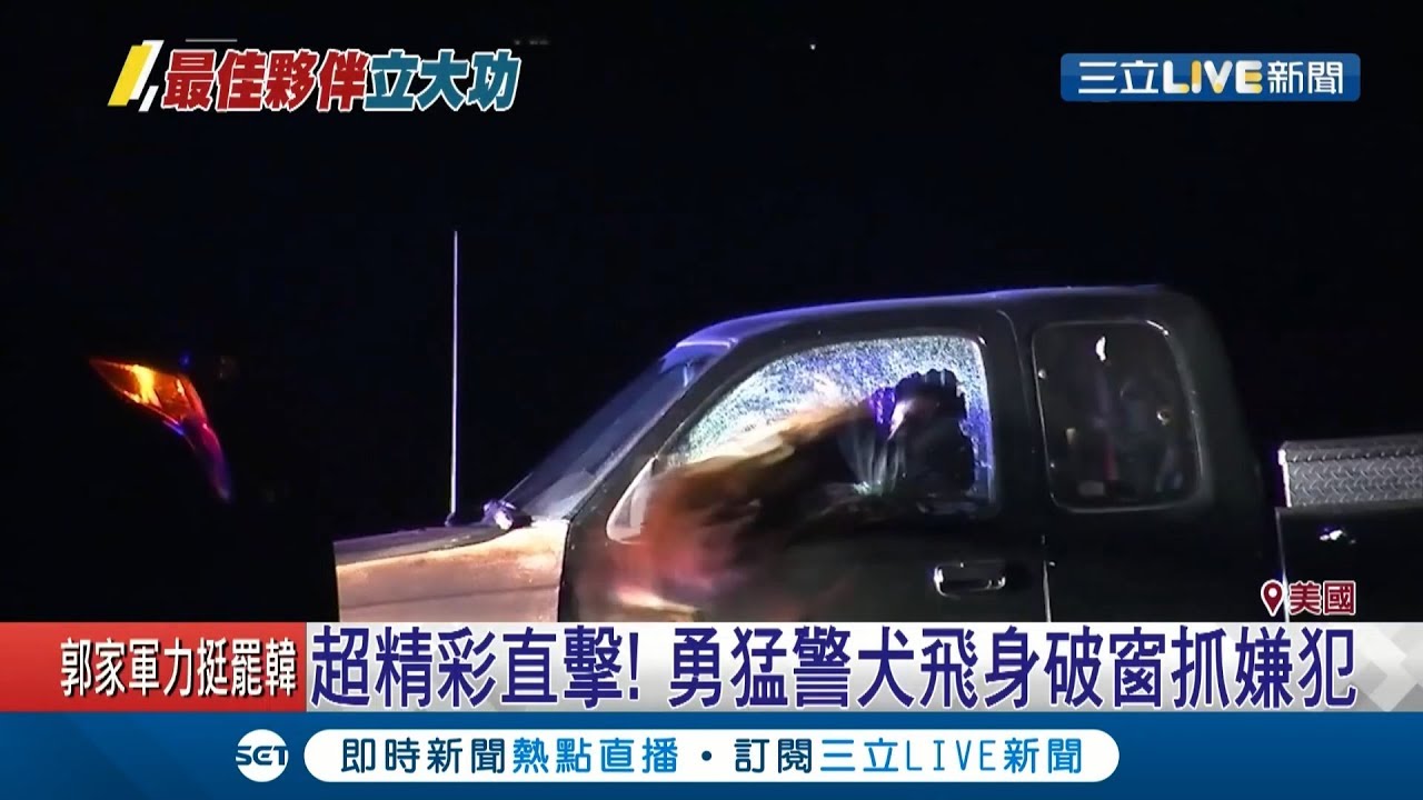 最佳夥伴立大功！勇猛警犬一個飛身...跳破車窗內逮住嫌犯│記者 劉如穎│【國際大現場】20191221│三立新聞台