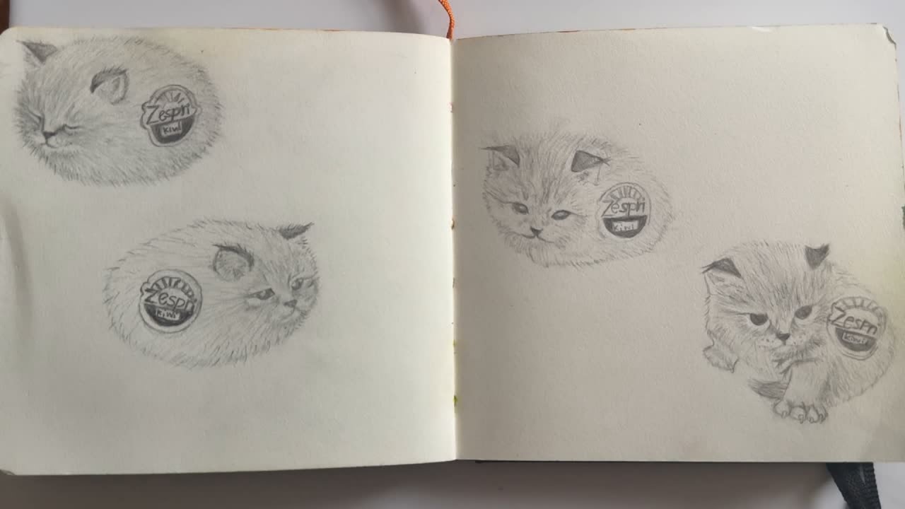 Kiwi kitty