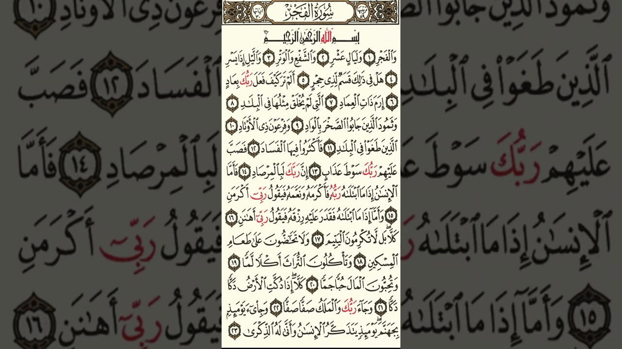 ٨ فبراير، ٢٠٢٦