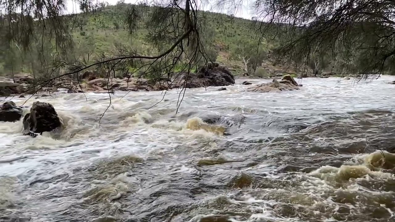 Bells Rapids - The Kingdom Of God