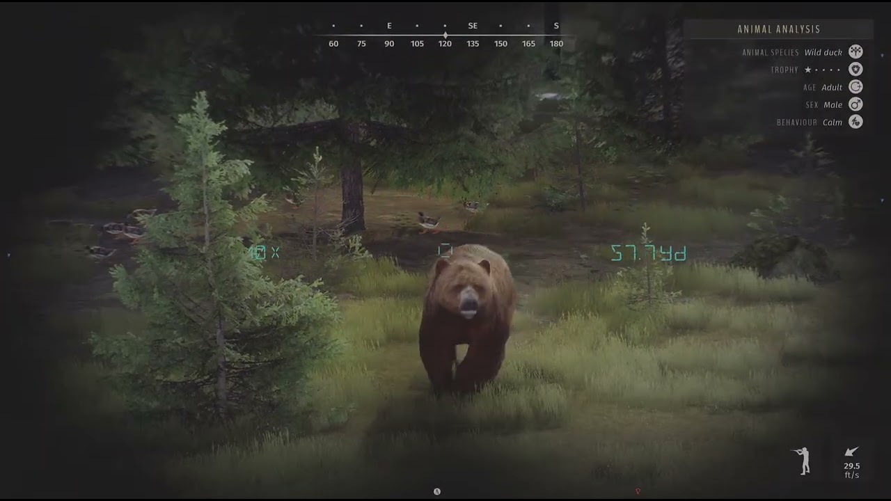 Way of the Hunter 5 Star Wild Duck 🦆🏹💖 Elkcrest