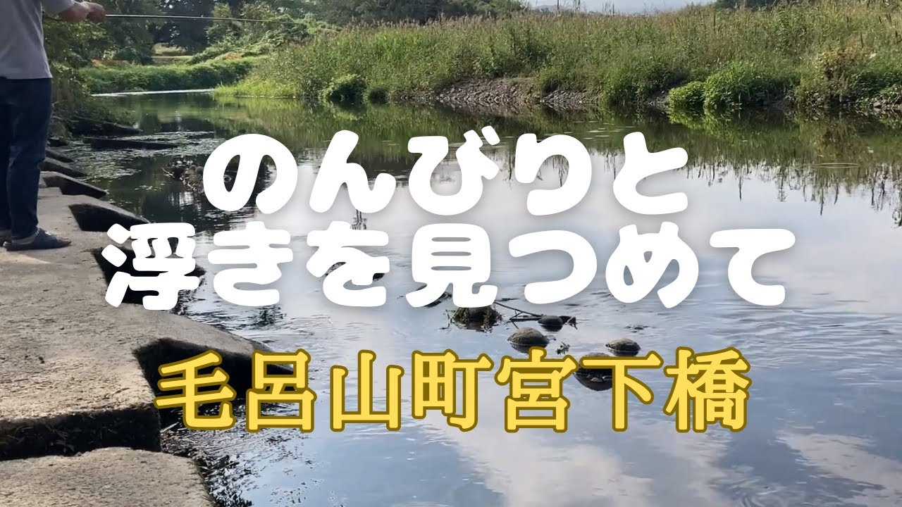 のんびりと浮きを見つめて釣り