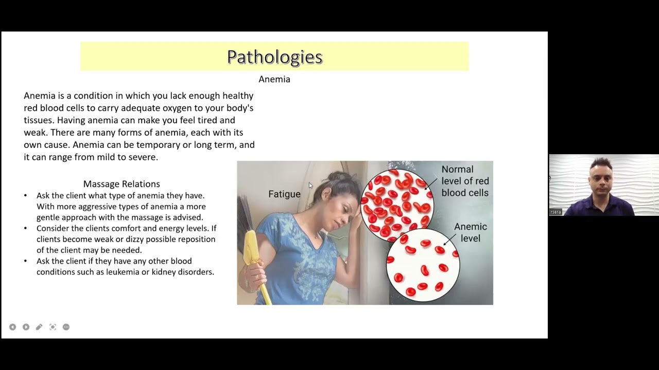Physiology and Pathology Part 4  Cardiovascular, Urinary and Digestive Systems