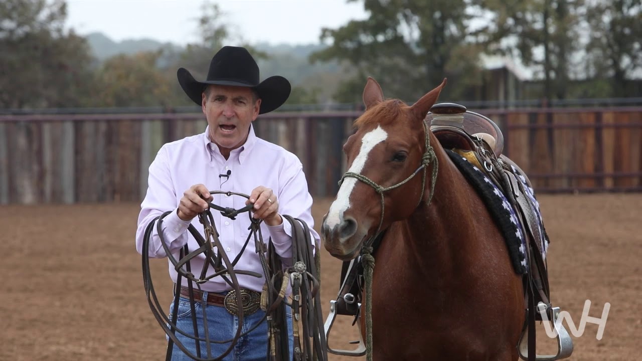 Bit Basics with Richard Winters: The Snaffle