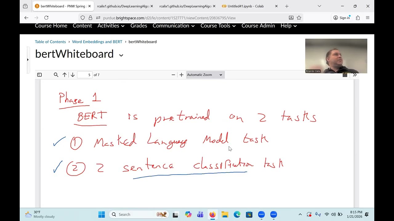 Embeddings and BERT models