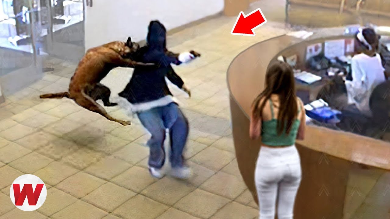 60 Animales Héroes que Salvaron Vidas Humanas !