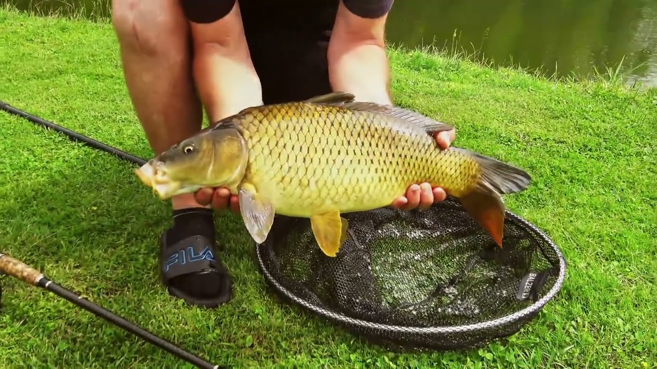 Fischteich Luis