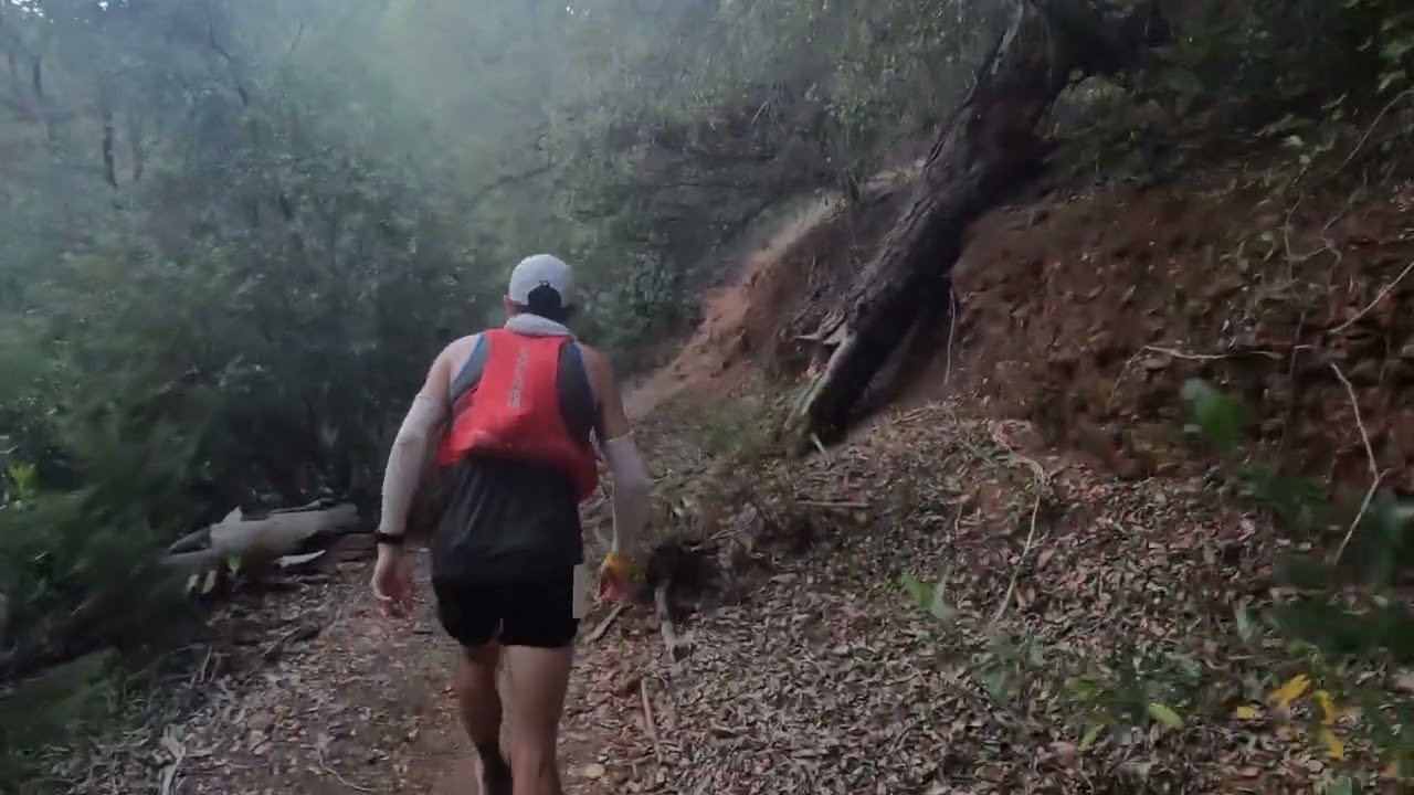 Pacing Western States 2022