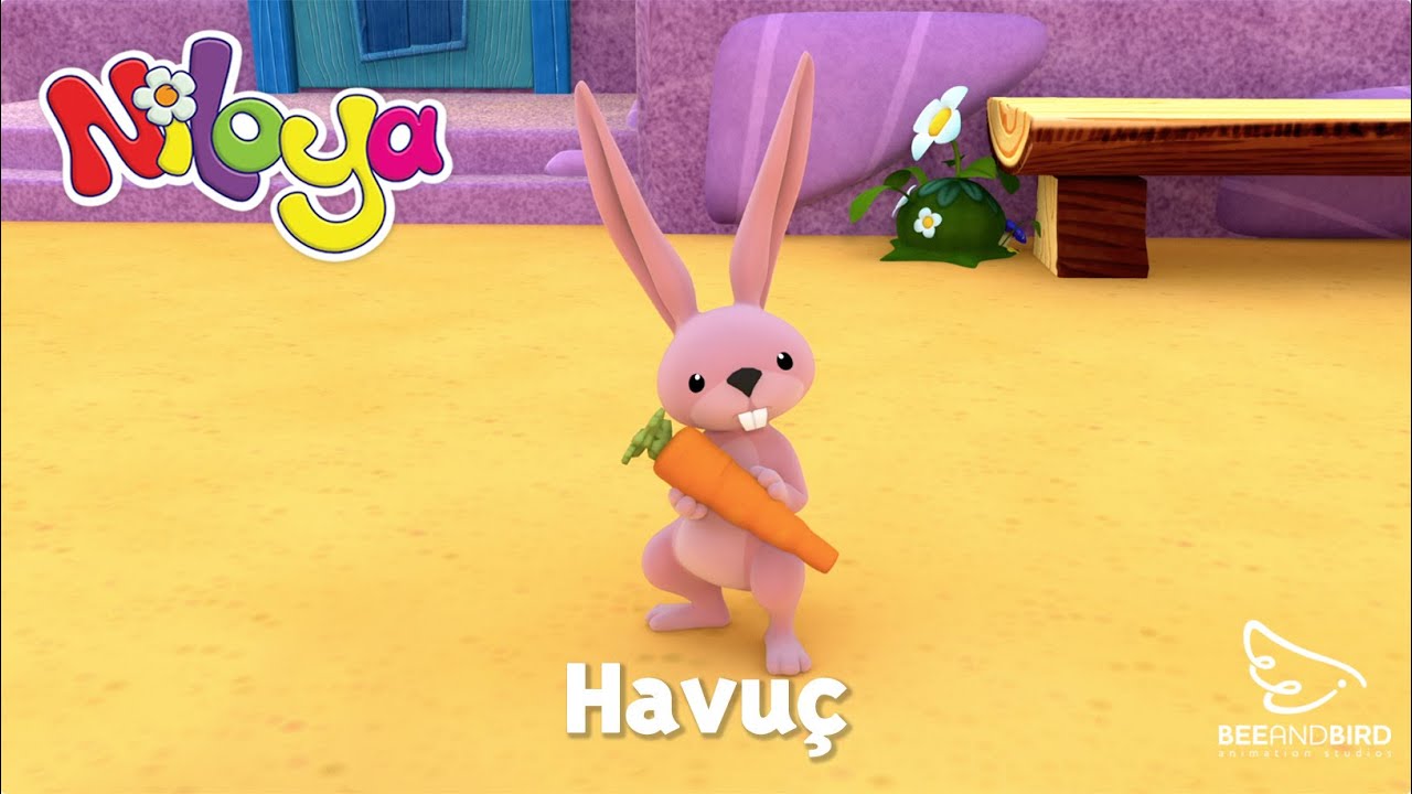 Niloya - Havu&ccedil;