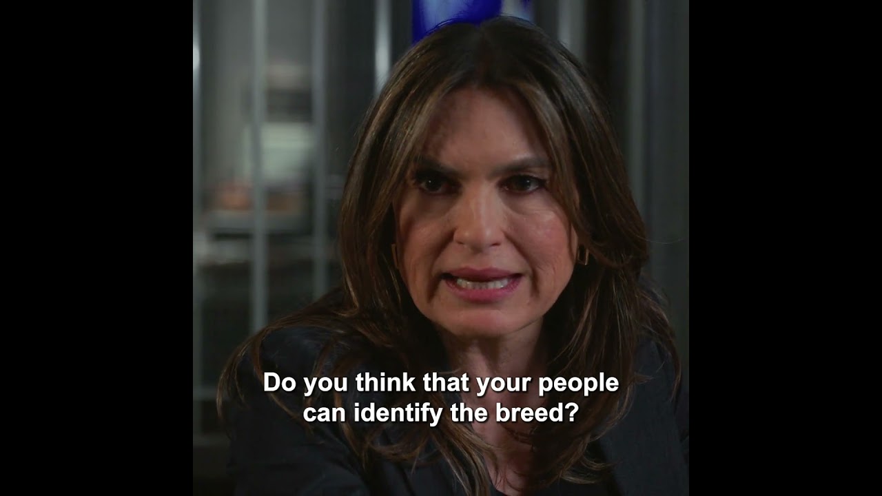 Law and Order SVU S26E20 #lawandordersvu #lawandorder #foryou #tvshow #foryoupage #shorts