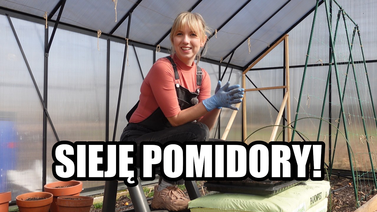Wysiewam pomidory, wyciągam wnioski z zeszłego roku i opowiadam co i jak sieję w warzywniku!