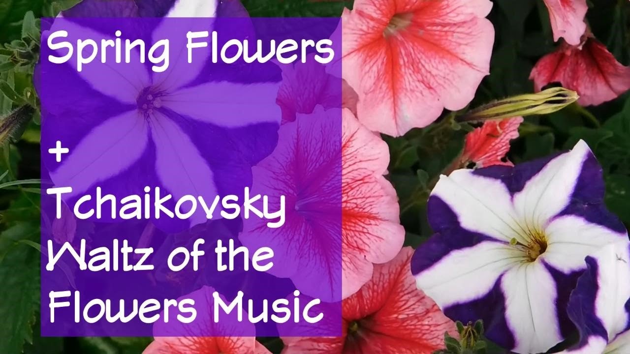 4K Relaxing Spring Flowers + Tchaikovsky Waltz of the Flowers Music
