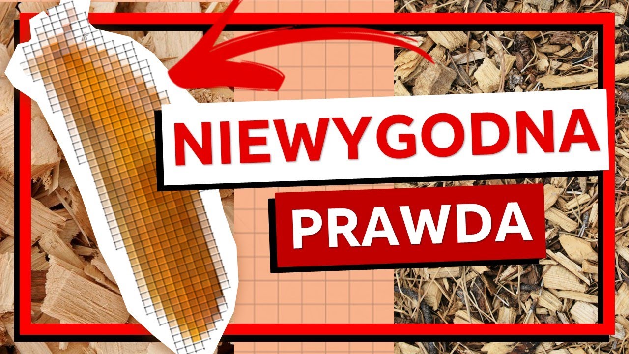 Tego Ci nie powiedza! Wady zrebkow po 5 latach. Cala prawda! Permakultura - back to eden