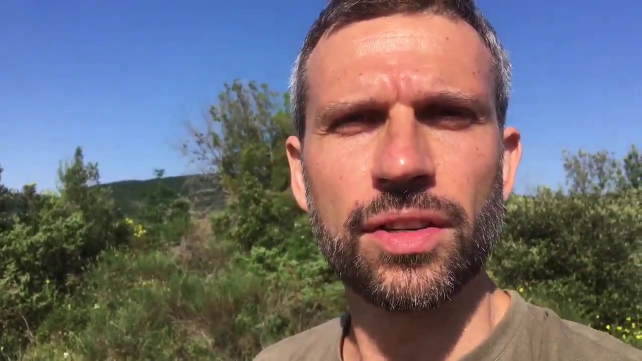 Caccia dei Rapaci notturni