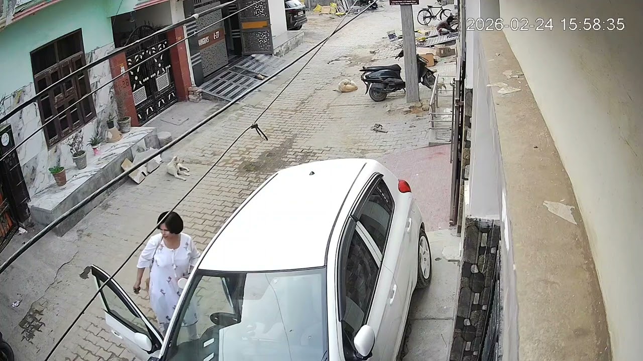 Such loving street dogs, just have a look at puppy too caught by CCTV, when I reached home from duty