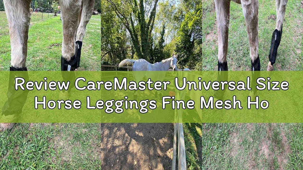 Review CareMaster Universal Size Horse Leggings Fine Mesh Horse Fly Boots Greatly Reduce Stomping Br