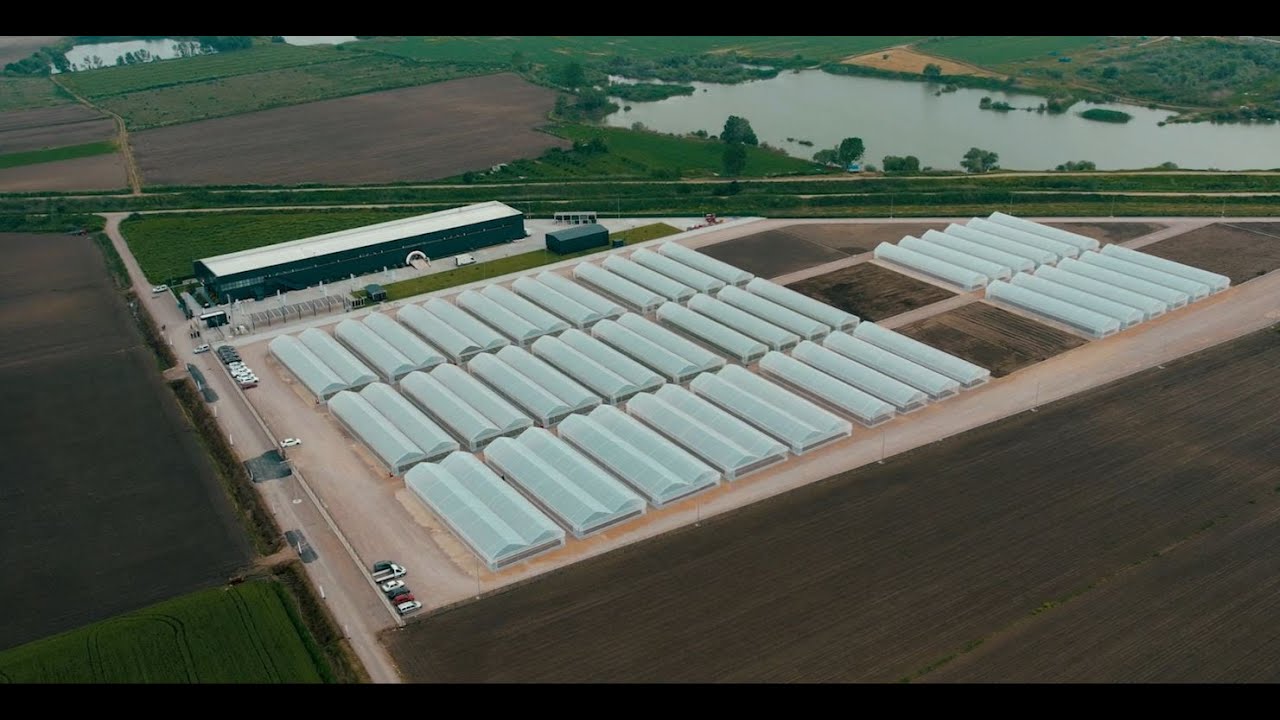 Opening ceremony new Takii seed production facility Karacabey