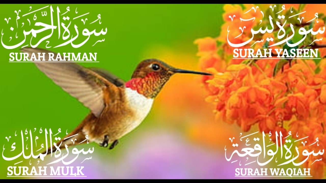 تلاوة تريح القلب سورة يس❤️الواقعة❤️الرحمن❤️الملك❤️ لزيادة الرزق و البركة.Yaseen🔴Rahman🔴Mulk✅💯#quran