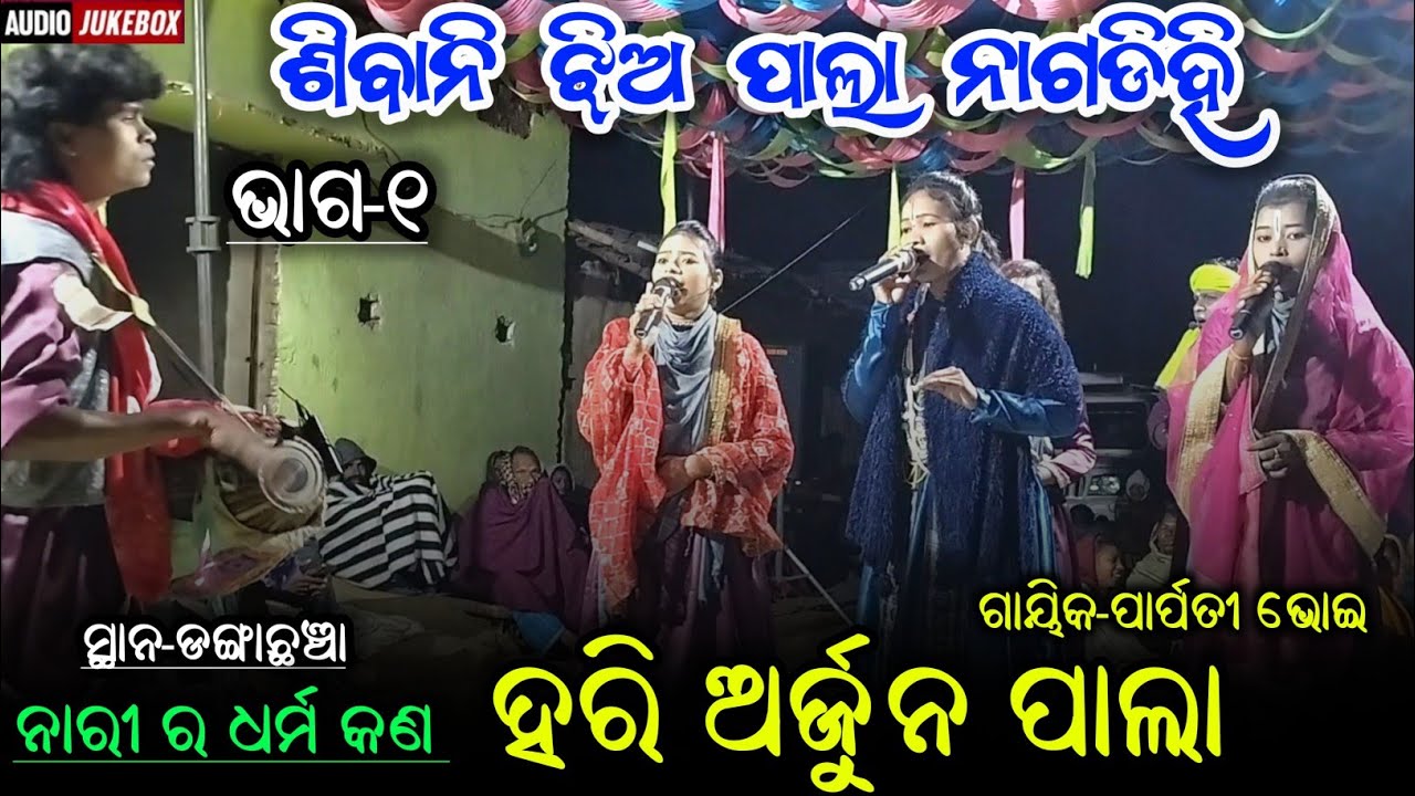 Nagdihi tukel pala || Hari Arjun Pala Nagdihi ||Sibani Jhia pala nagdihi || ms sambalpuria 