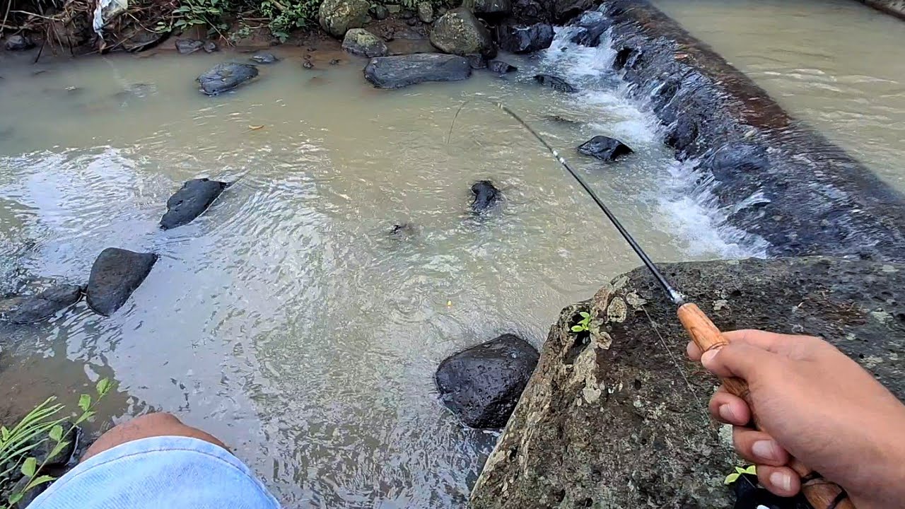 (PUASA KE 6) NEMU SPOT MANCING WADER ISTIMEWA BERAKHIR SENAR PEDOT
