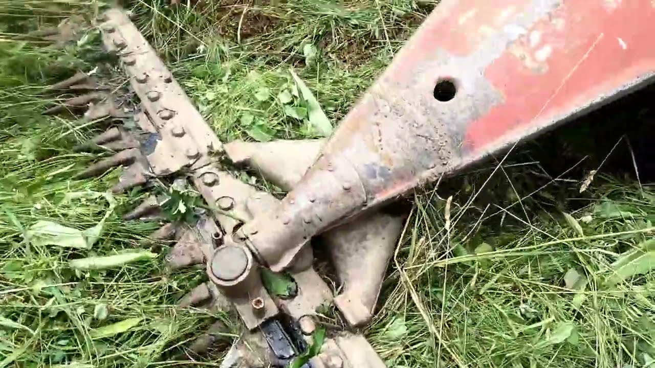Rotax