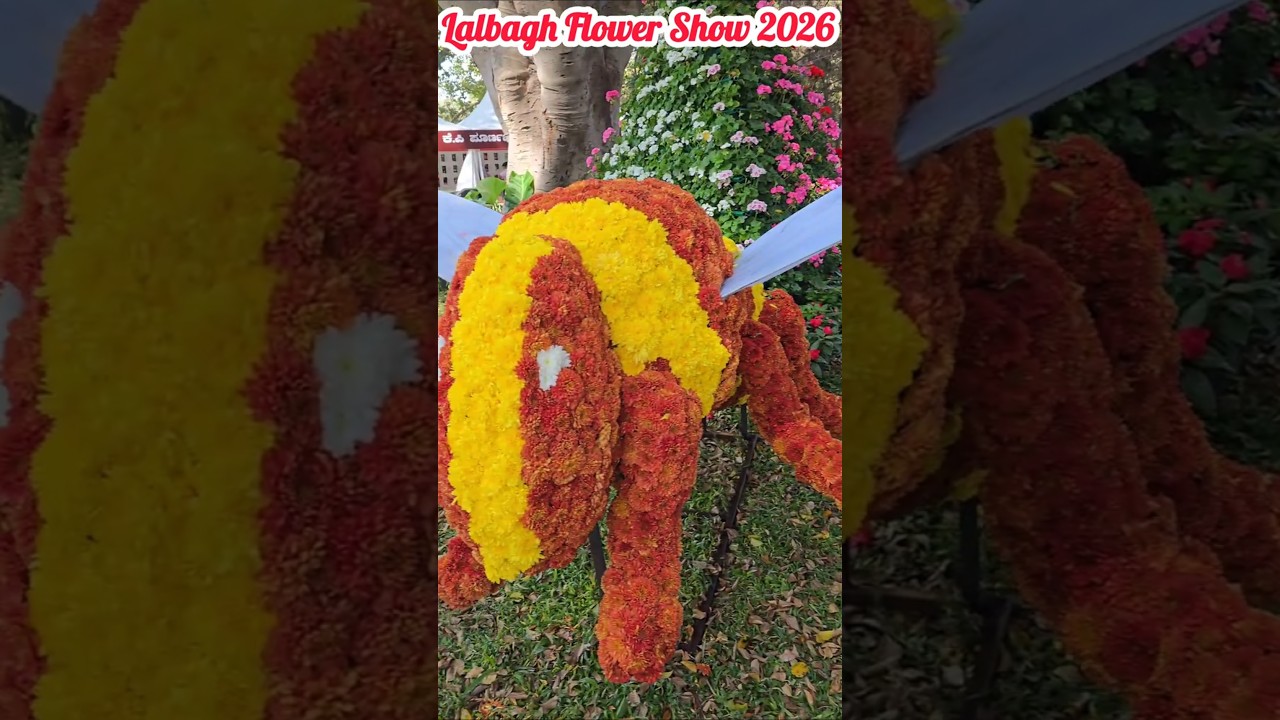 “Lalbagh Flower Show 2026 - Floral Magic 🐰🌸🌈”