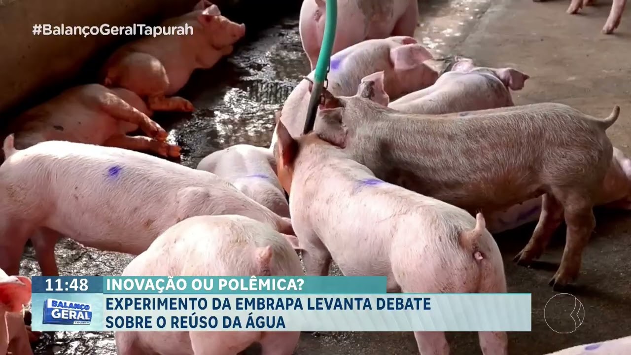 Experimento da EMBRAPA levanta debate sobre o reuso da água.