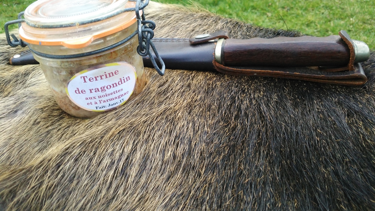 Le ragondin- Partie N°2 - le tannage de la peau