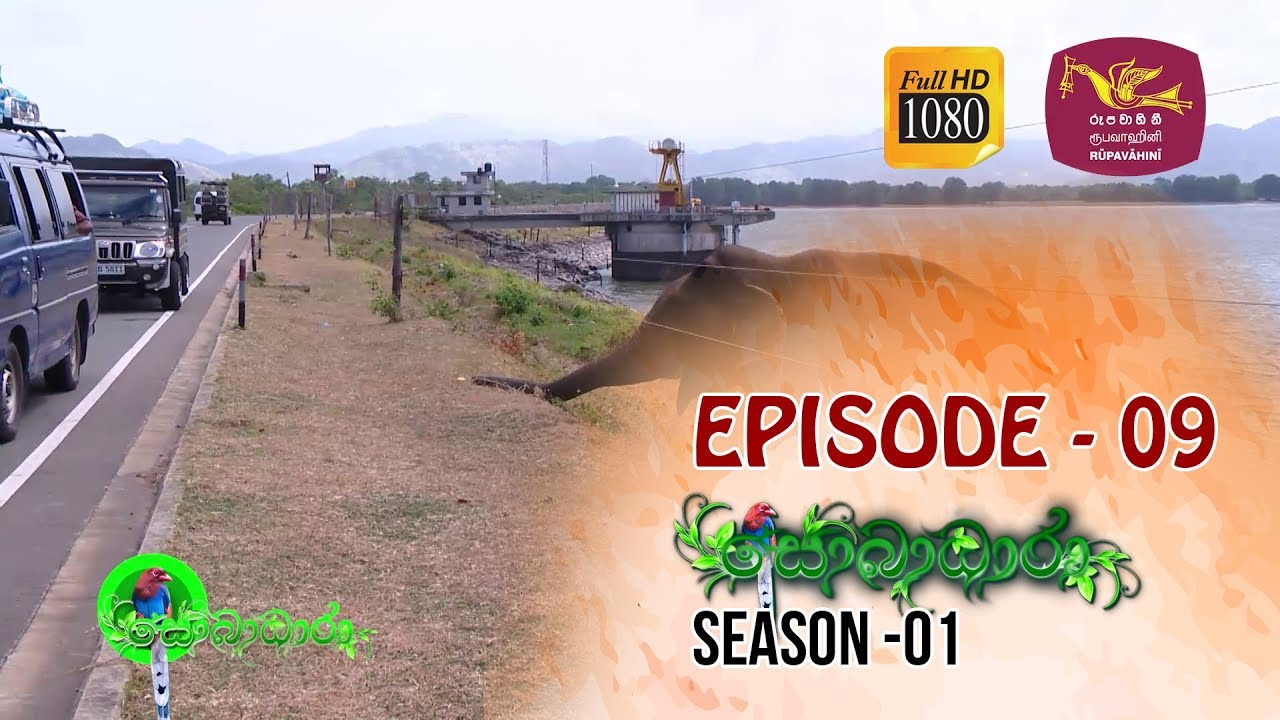 Sobadhara | Season - 01 | Episode 09 | Sobadhara Rupavahini