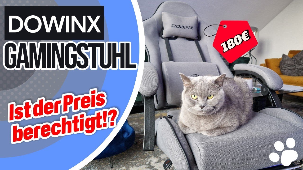 Dowinx Gaming Stuhl zu teuer? Aufbau & Probesitzen mit Katzen