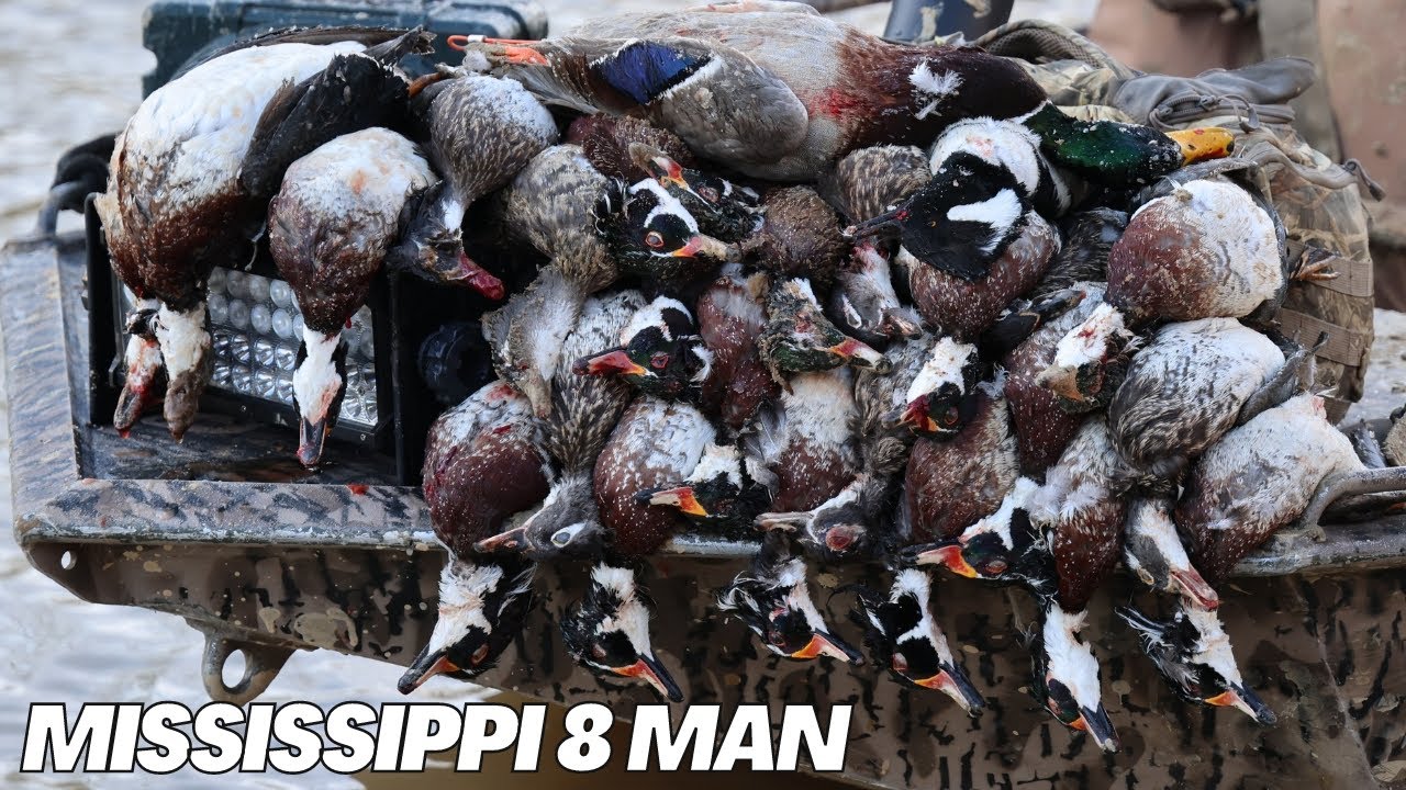 Mississippi Wood Ducks | Skinny River 8 Man