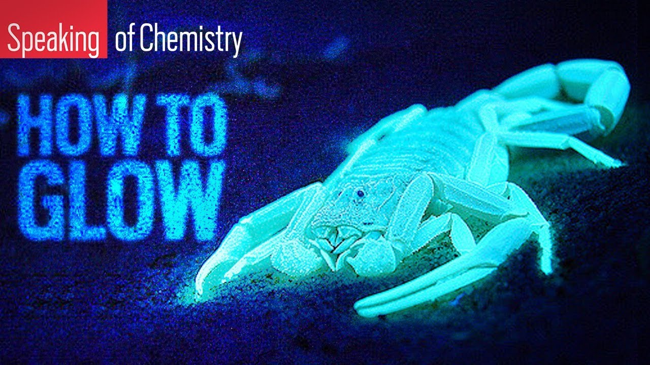 How do some animals glow? &mdash; Speaking of Chemistry