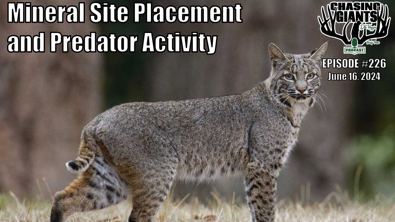 Ep. #226 - Mineral Site Placement and Predator Activity Special Memories of Fathers on Father's Day