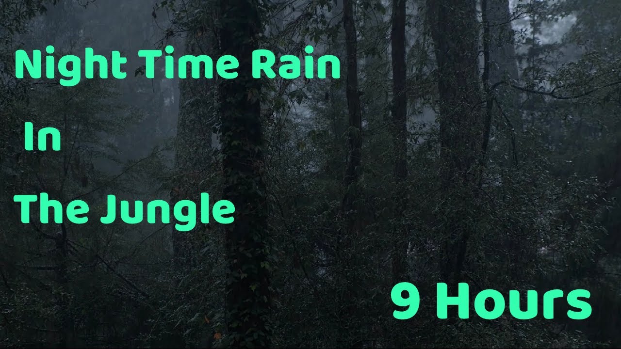 Heavy Rain At Night In The Jungles of Puerto Rico | Recorded At Night In the Jungle 9 Hour