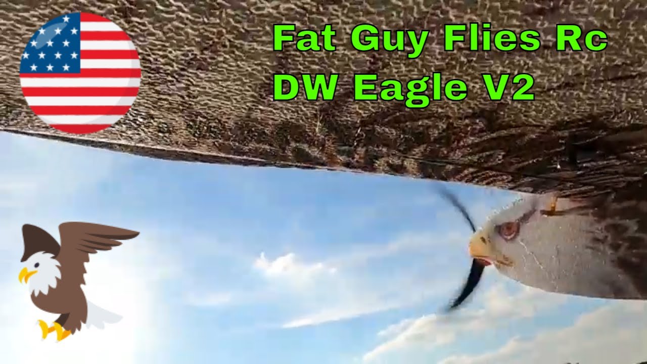DW Eagle V2 flown by Fat Guy Flies Rc