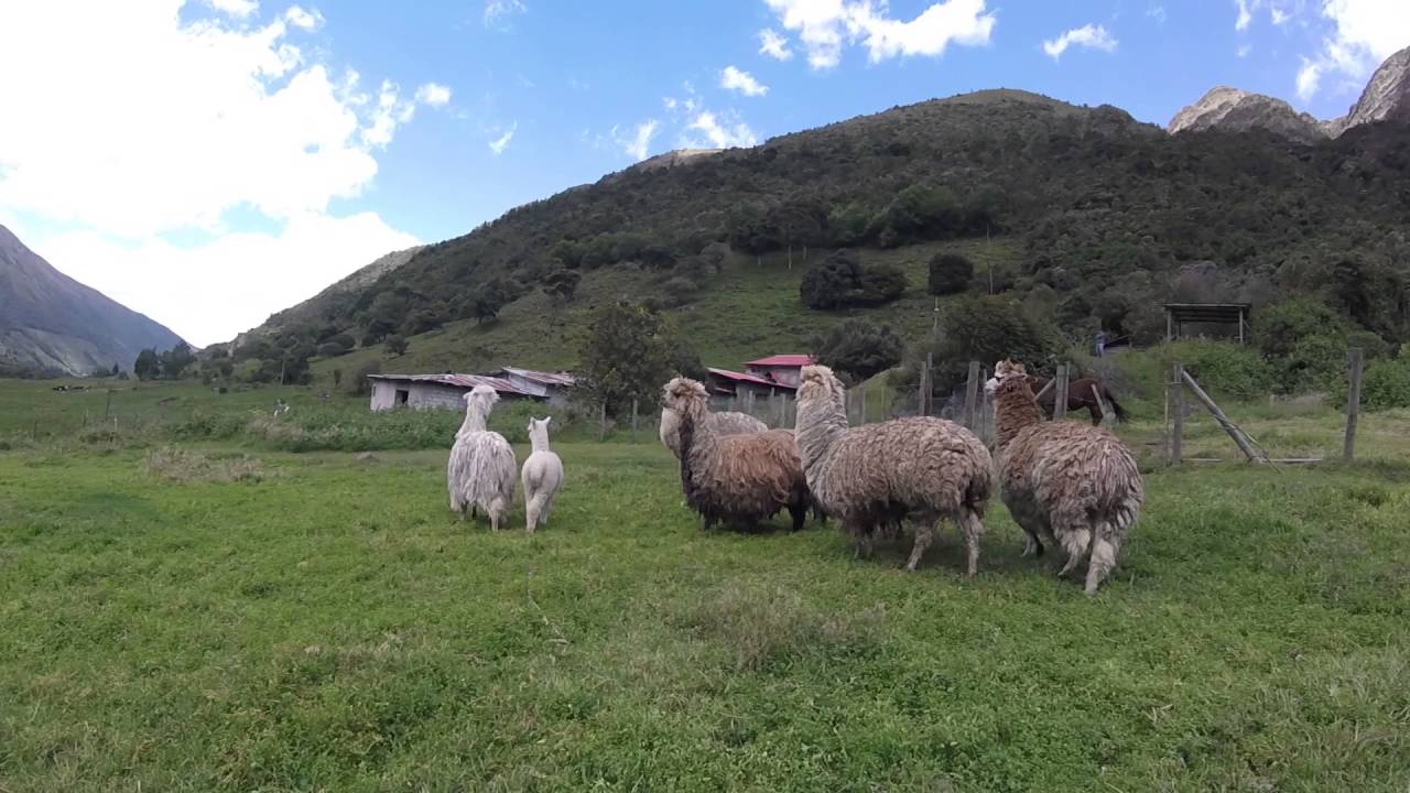 Aventura Ecuador - EL CAJAS, Llaviucu