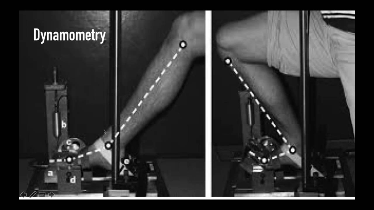 Current Trends in (Bare) Foot Research & Client Programming with Dr Emily Splichal