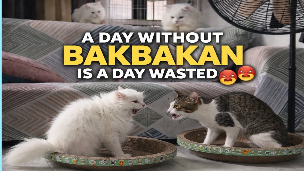 A DAY WITHOUT BAKBAKAN IS A DAY WASTED 