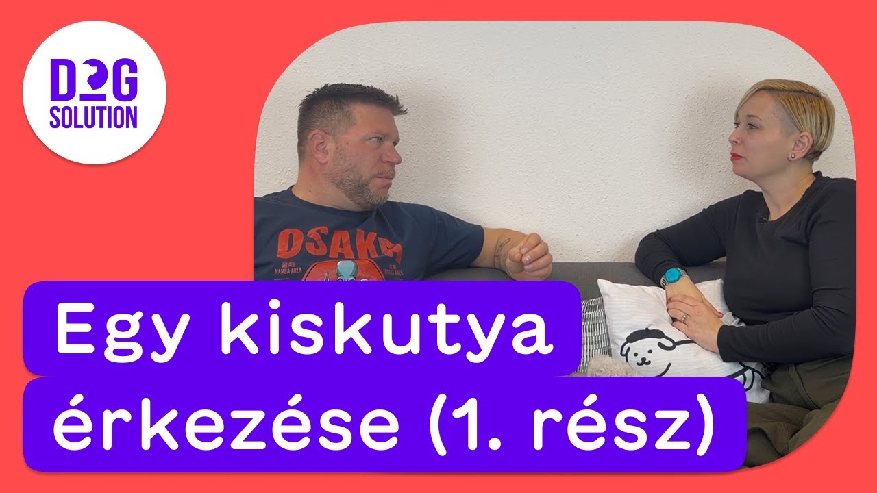 Dog Solution 07 - Egy kiskutya &eacute;rkez&eacute;se (1. r&eacute;sz)