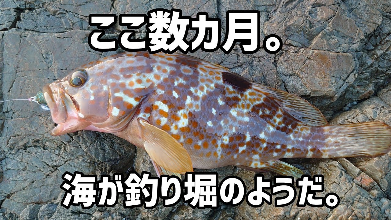 【ロックフィッシュ】ずっとこの仕掛け。