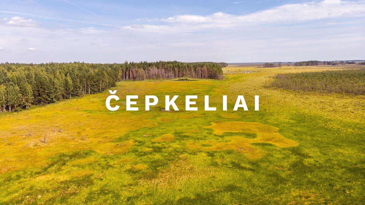 The largest swamp in Lithuania - Čepkelių raistas