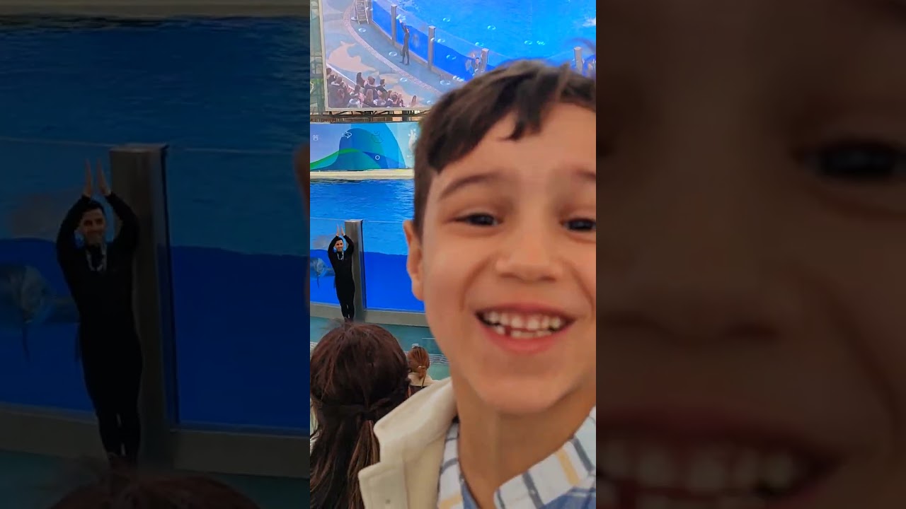 The land of legends, dolphin show