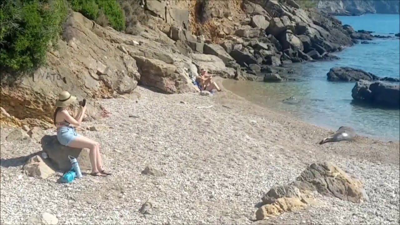 Close encounters with a seal in Alonnisos