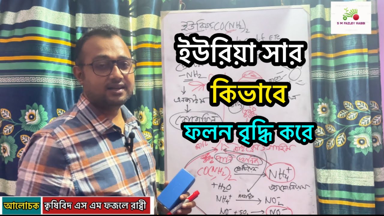 ইউরিয়া সার কীভাবে গাছকে সবুজ ও স্বাস্থ্যবান করে | ফসল বৃদ্ধি টিপস || 