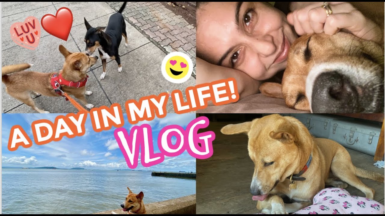 Mars Shroff || A Day In My Life! 🐕