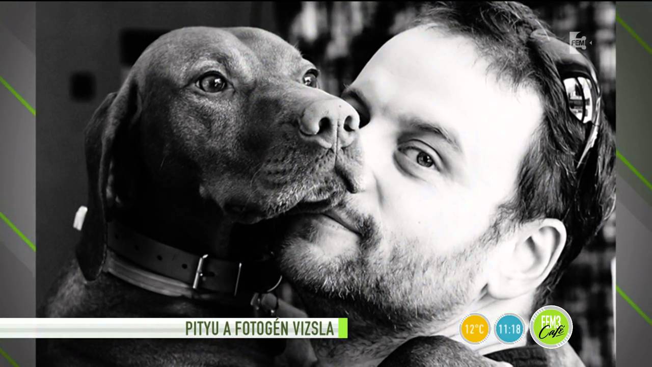 Nánásinál sokszor a kutya töri meg a jeget? - tv2.hu/fem3cafe
