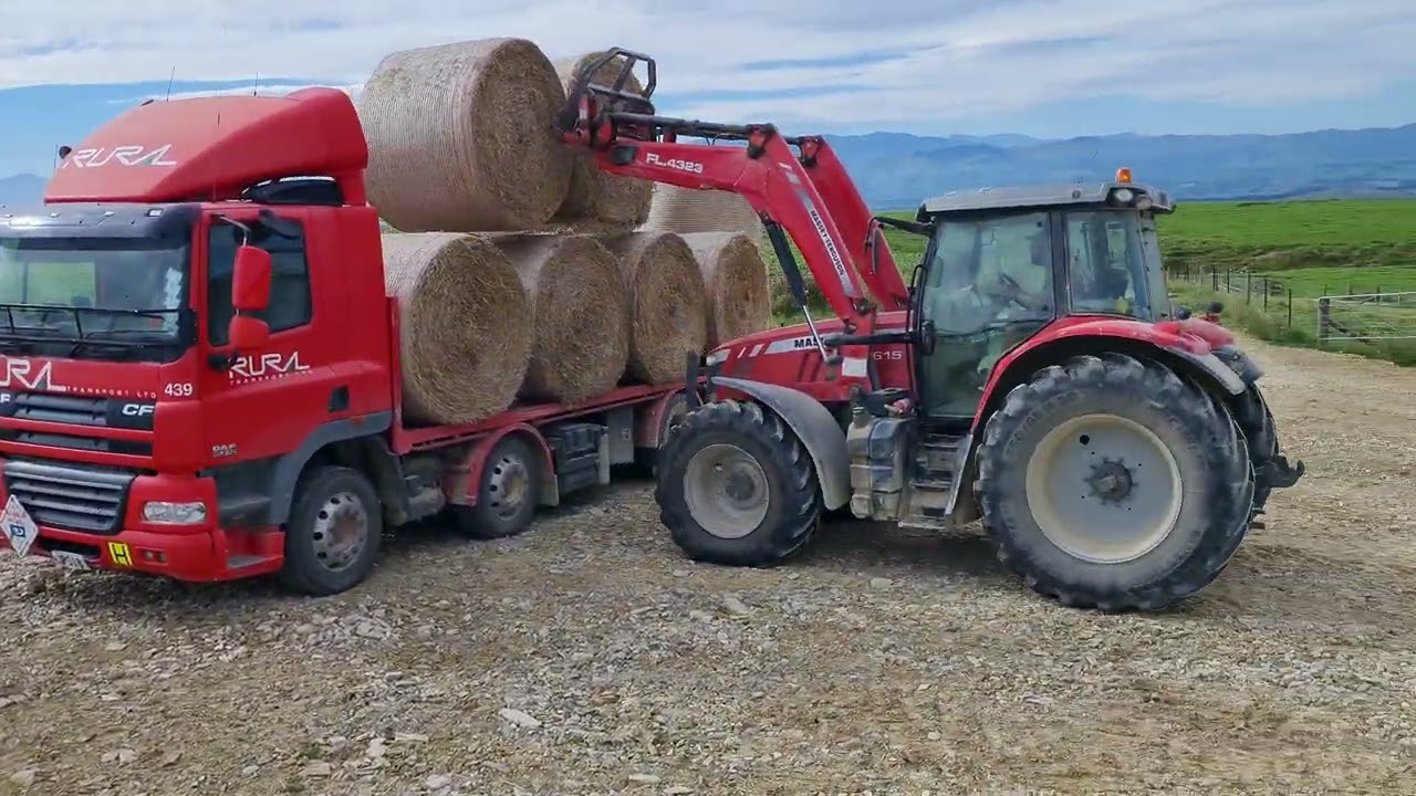 Carting straw bales today for a change , New Zealand.  #fyp #nzfarrm #nzfarming #newzeland #nz 