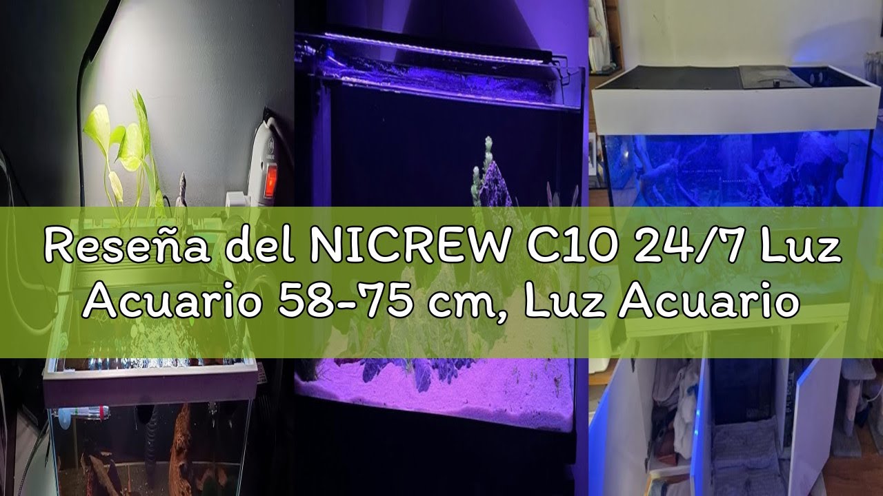 Reseña del NICREW C10 24/7 Luz Acuario 58-75 cm, Luz Acuario LED con Espectro Completo y Temporizado