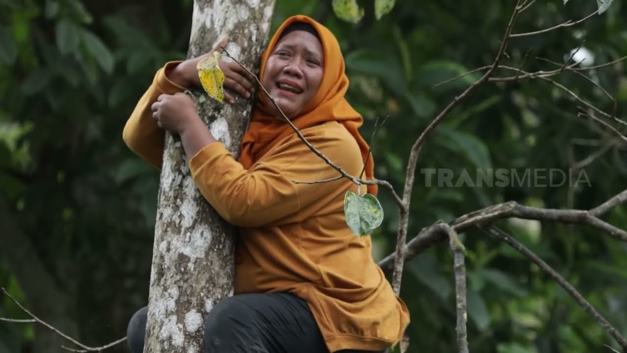 Panen Buah Kesemek | ENAH BIKIN ENAK (17/01/24)