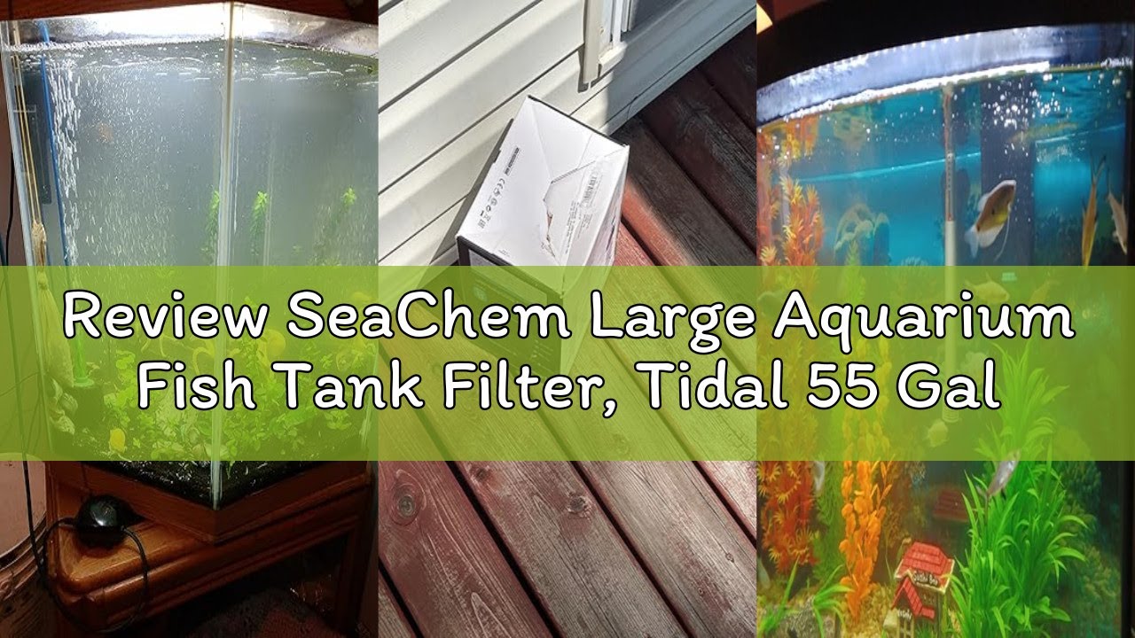 Review SeaChem Large Aquarium Fish Tank Filter, Tidal 55 Gallon (200 Liters) by Sicce